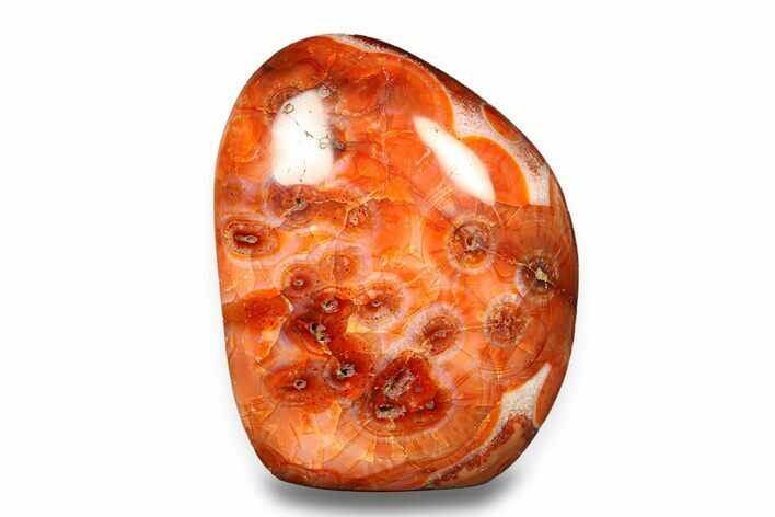 Free-Standing, Polished Carnelian Agate - Madagascar #283477